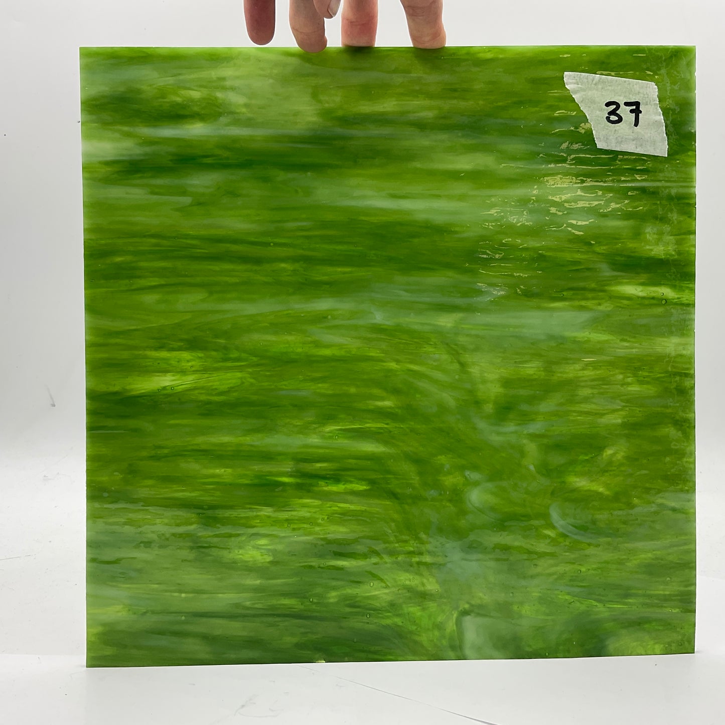 Wissmach 12"x12" Bargain Bin AS IS 2