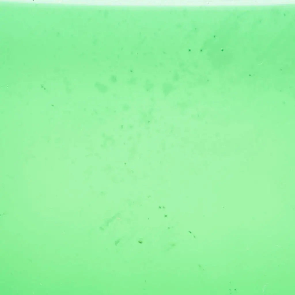 PW 96-17 Garden Green Transparent