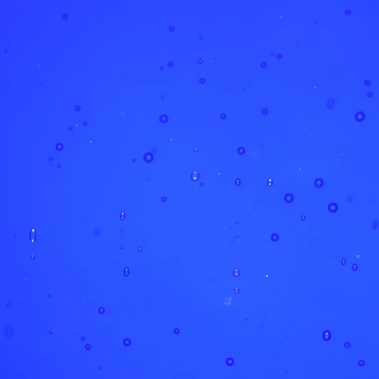 PW 96-20 Midnight Blue Cathedral