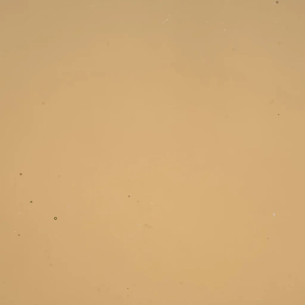 PW 96-58 Bronze Transparent