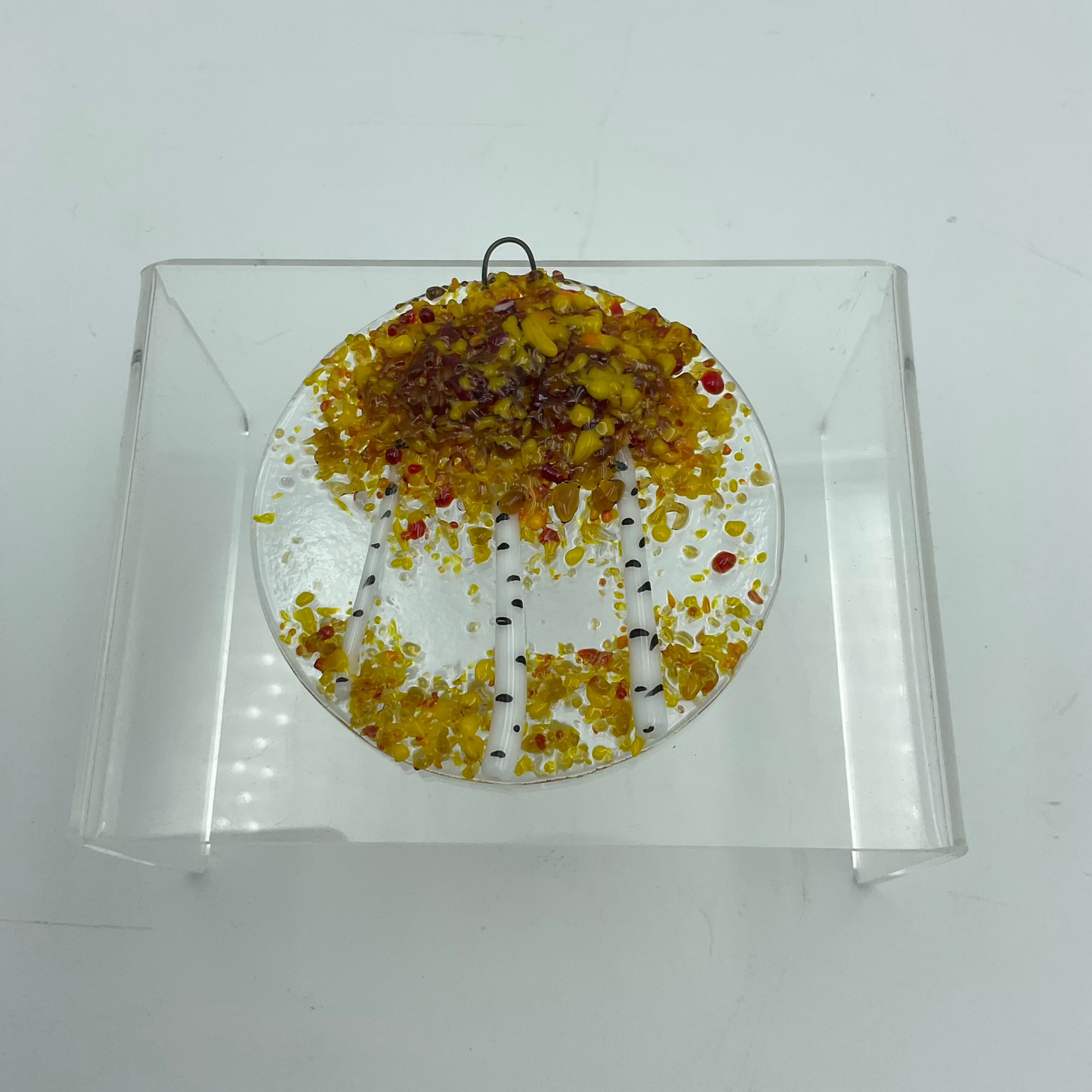 A circle fused glass ornament of a birch tree with amber and yellow foliage.