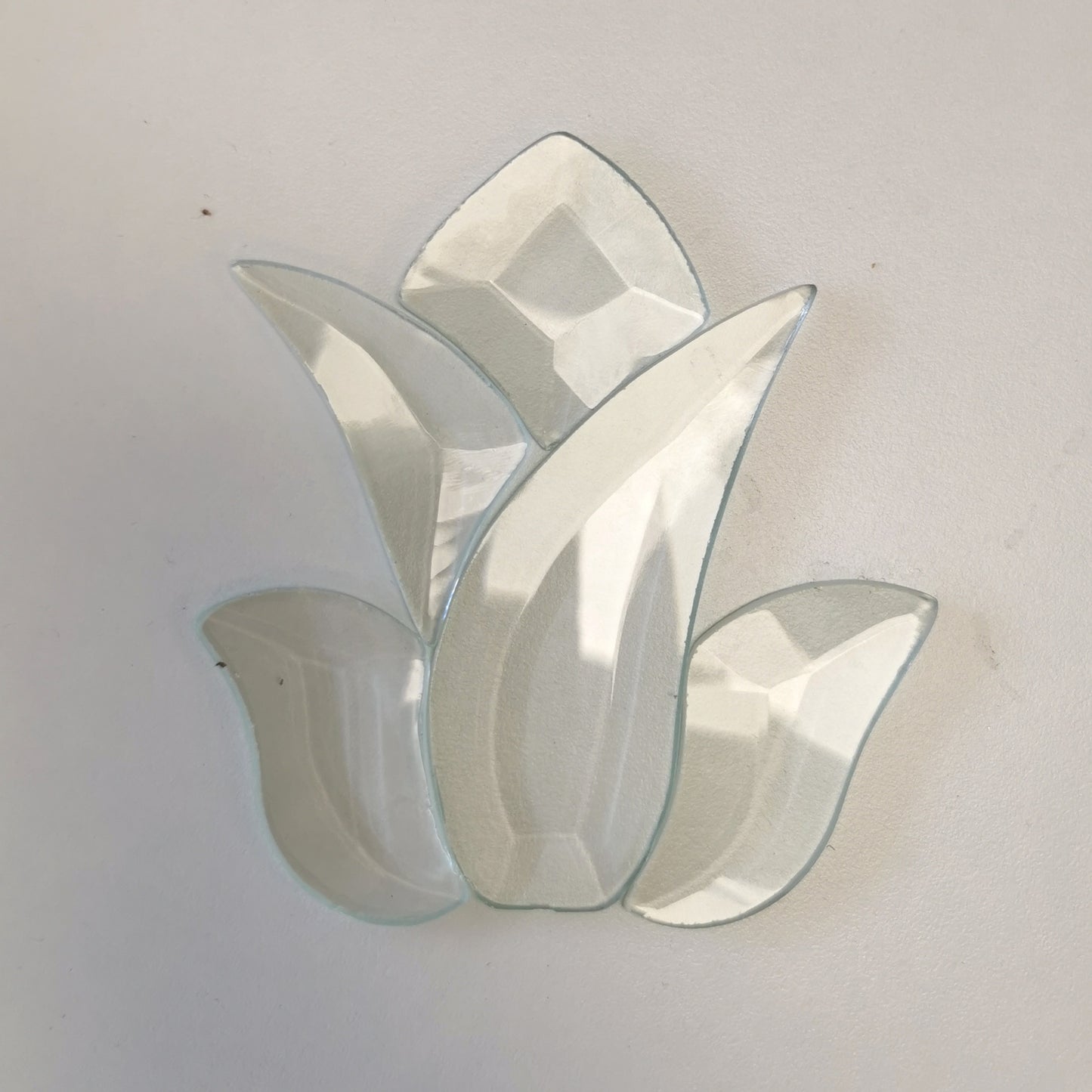 HB 09 Tulip Bevel Cluster