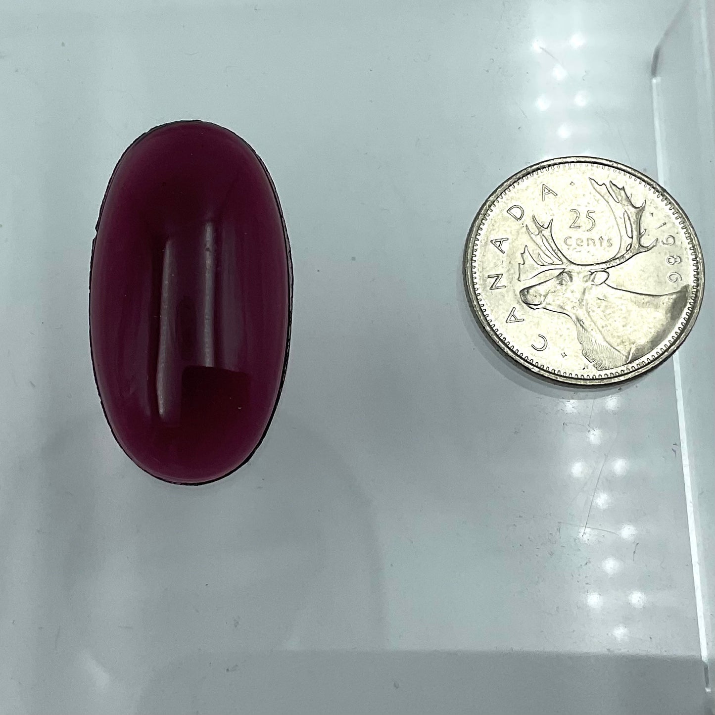 Oval Smooth Jewel