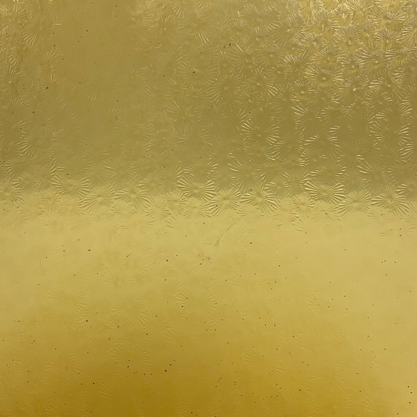 PW 34FLOR Light Amber Florentine
