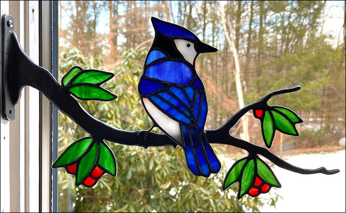 Blue Jay Kit