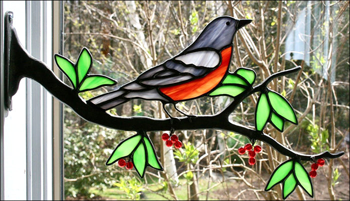 Robin Kit