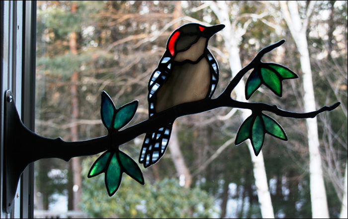 Woodpecker Kit