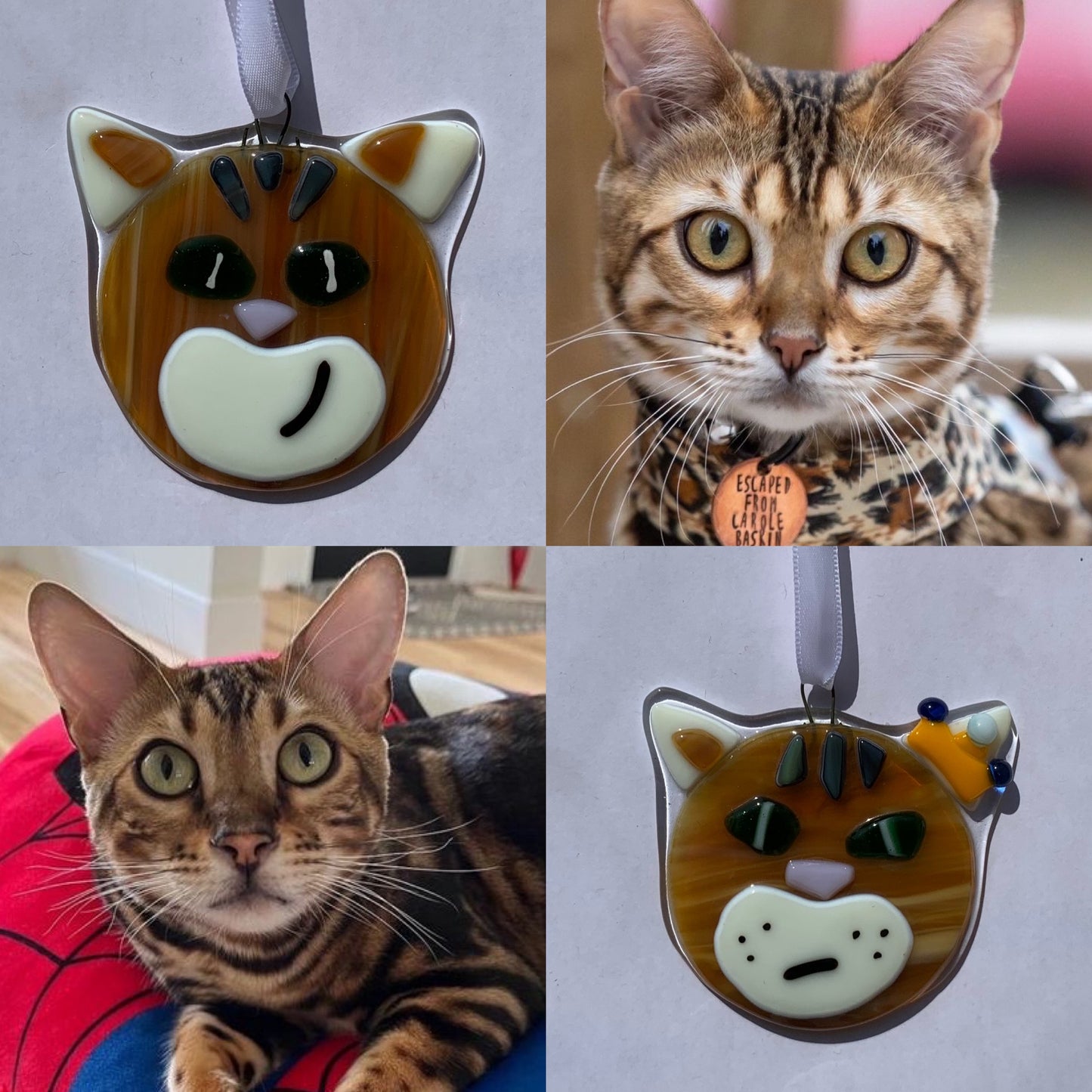 Fused glass pets!