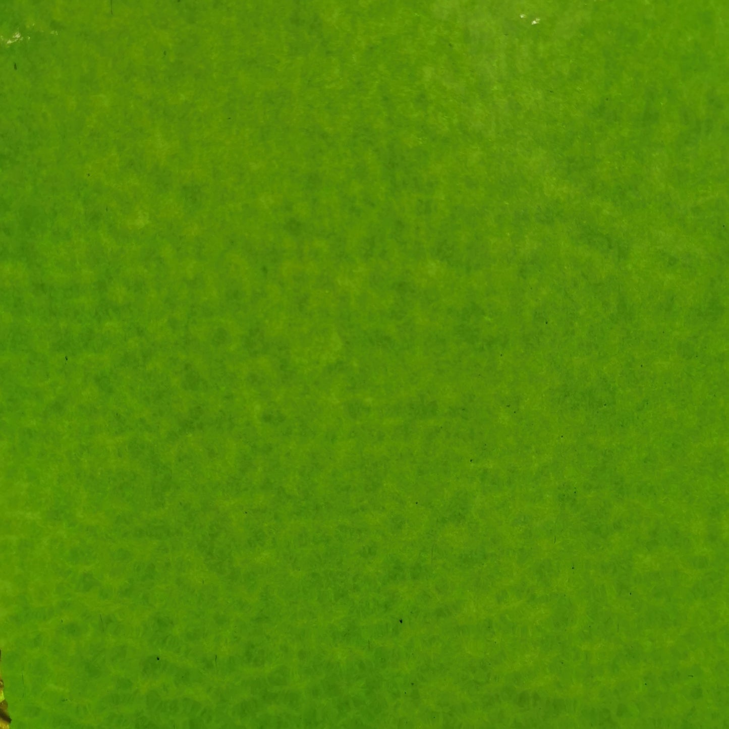 PW EM 4932 Spring Green English Muffle