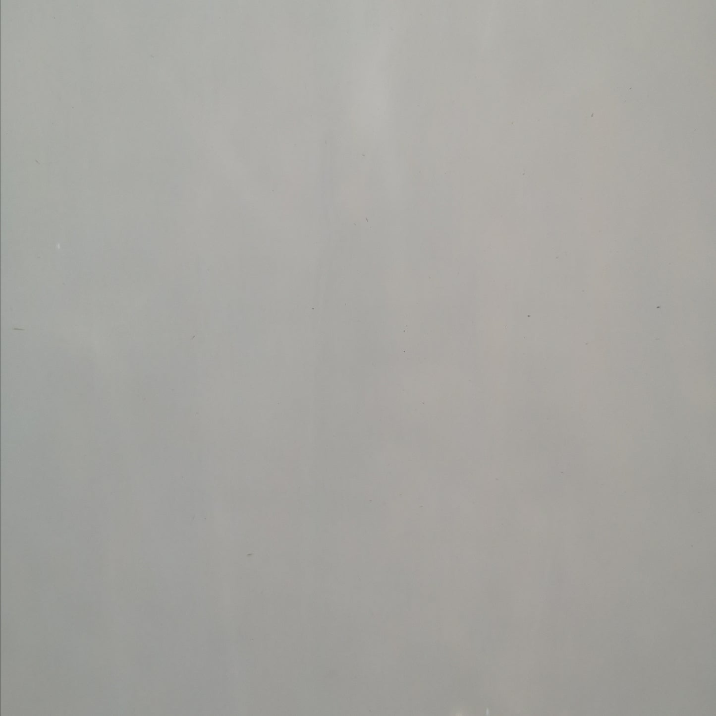 PW 51DD Solid White Opal