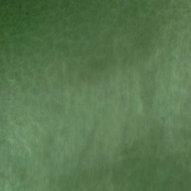 YO 4000SP Pale Green