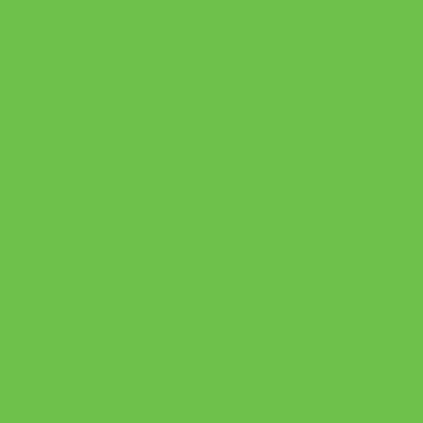Solid green color swatch