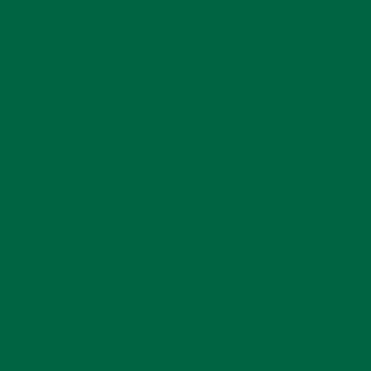 Solid green color swatch