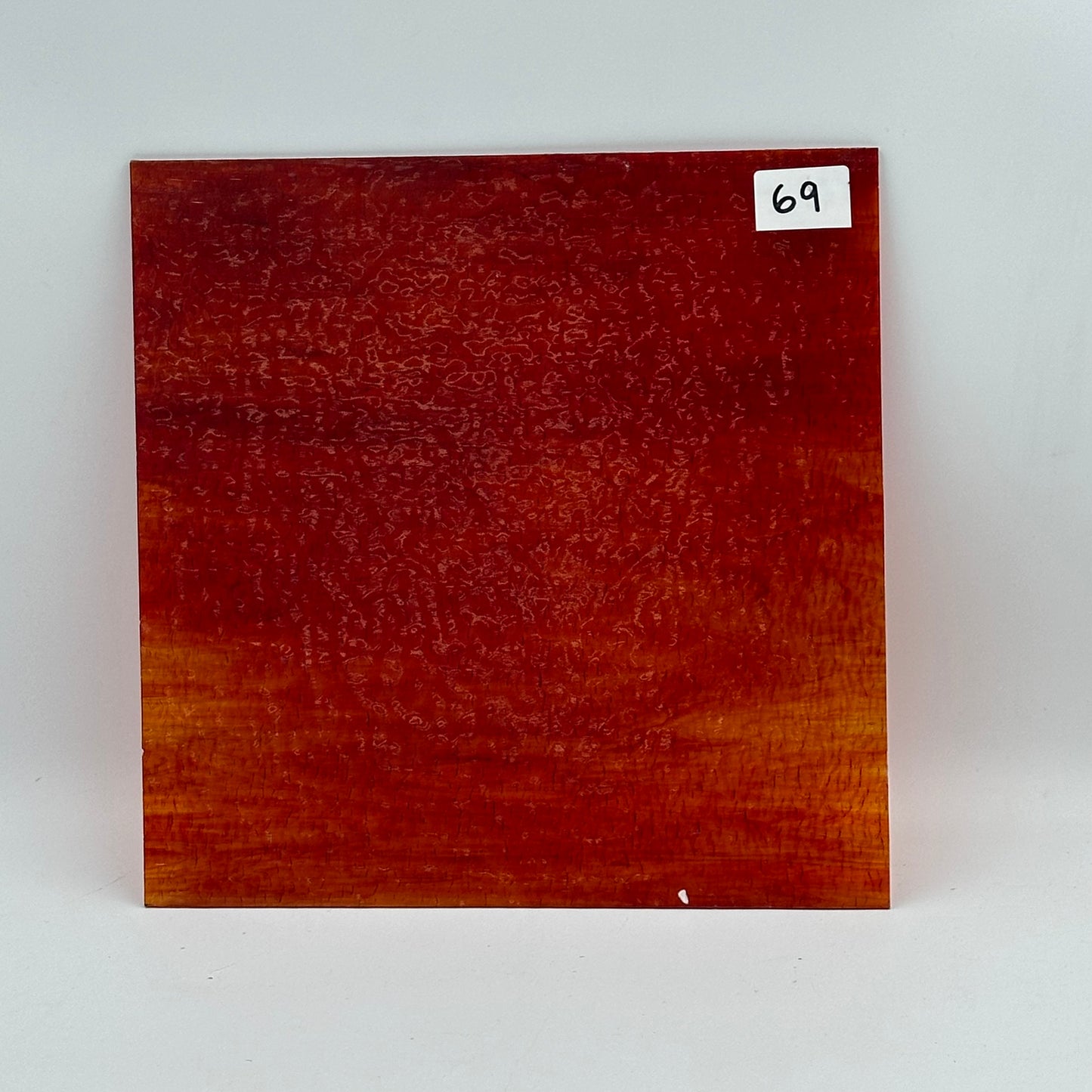 Wissmach 12"x12" Bargain Bin