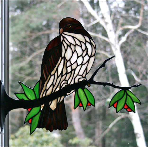 Red Tail Hawk Kit