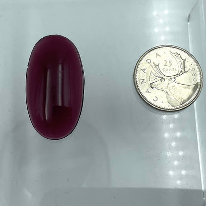 Oval Smooth Jewel