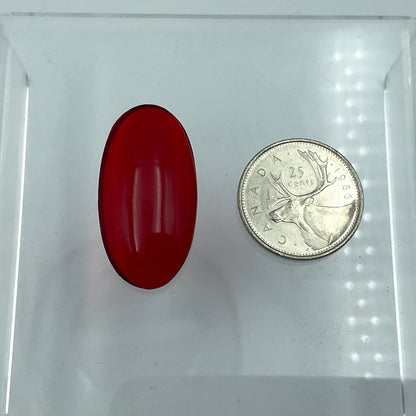 Oval Smooth Jewel