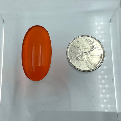 Oval Smooth Jewel