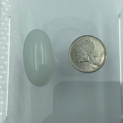 Oval Smooth Jewel