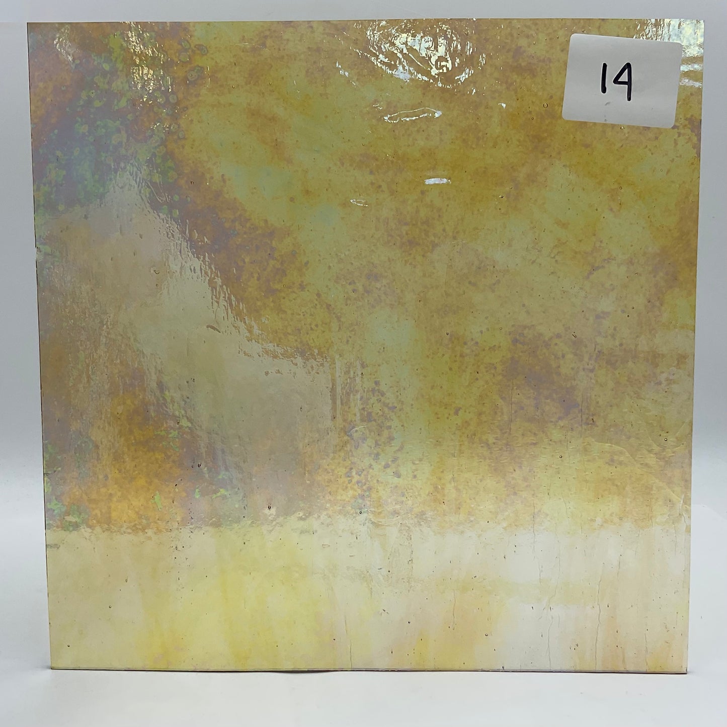 Wissmach 12"x12" Bargain Bin AS IS
