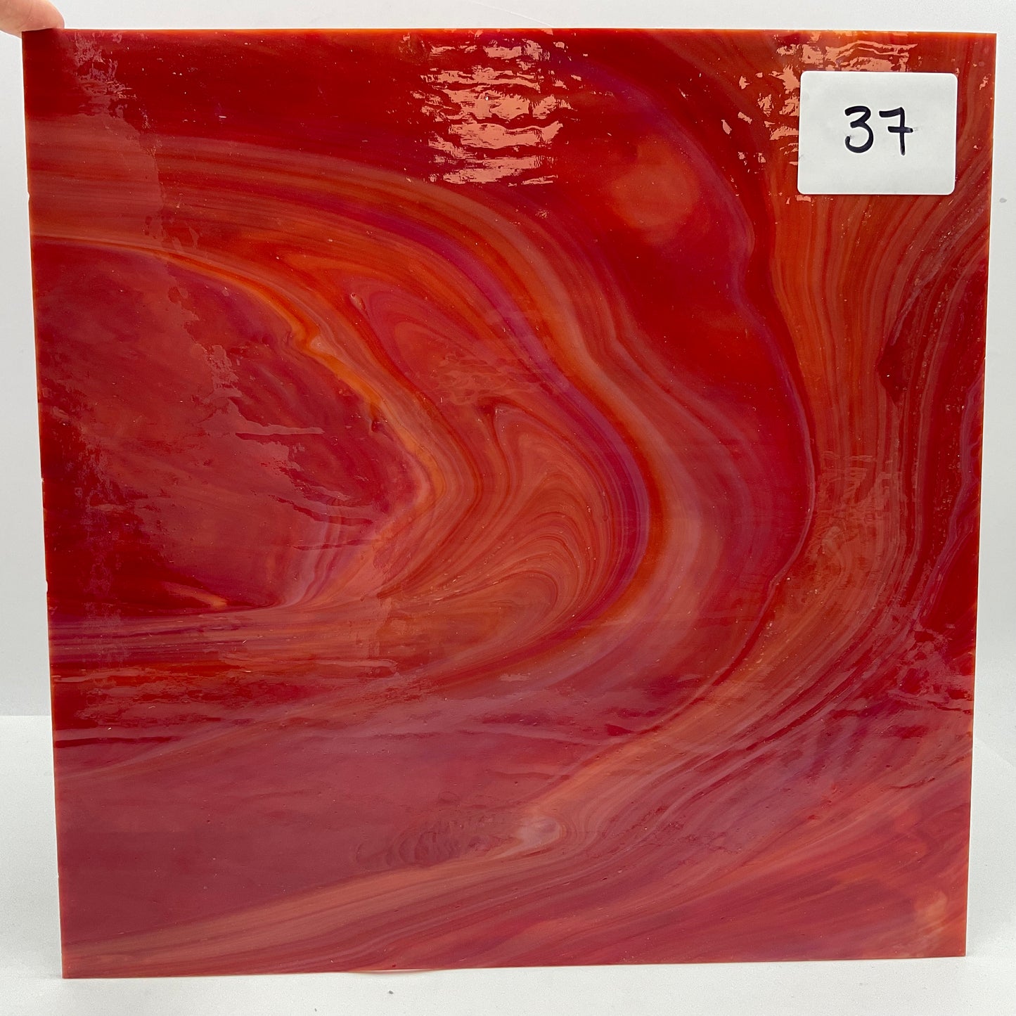 Wissmach 12"x12" Bargain Bin AS IS