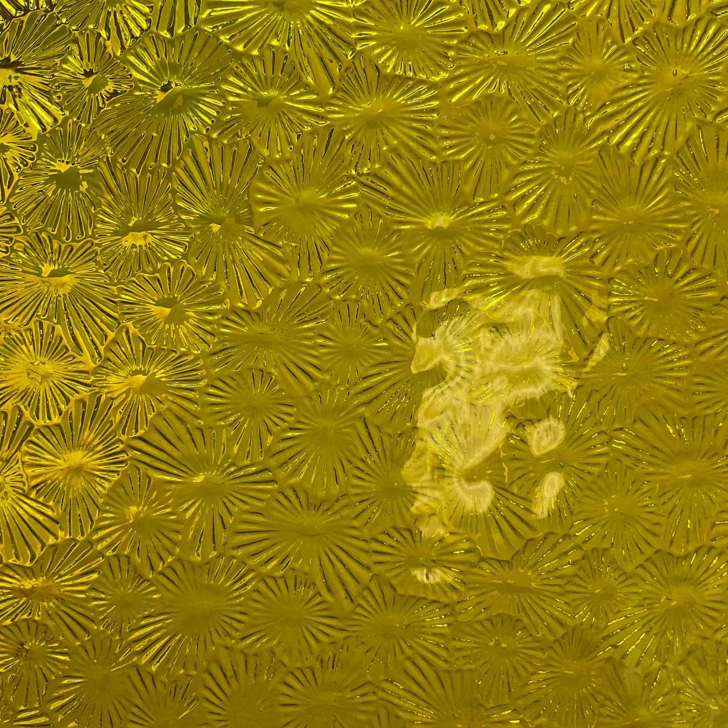 PW 31FLOR Selenium Yellow Florentine