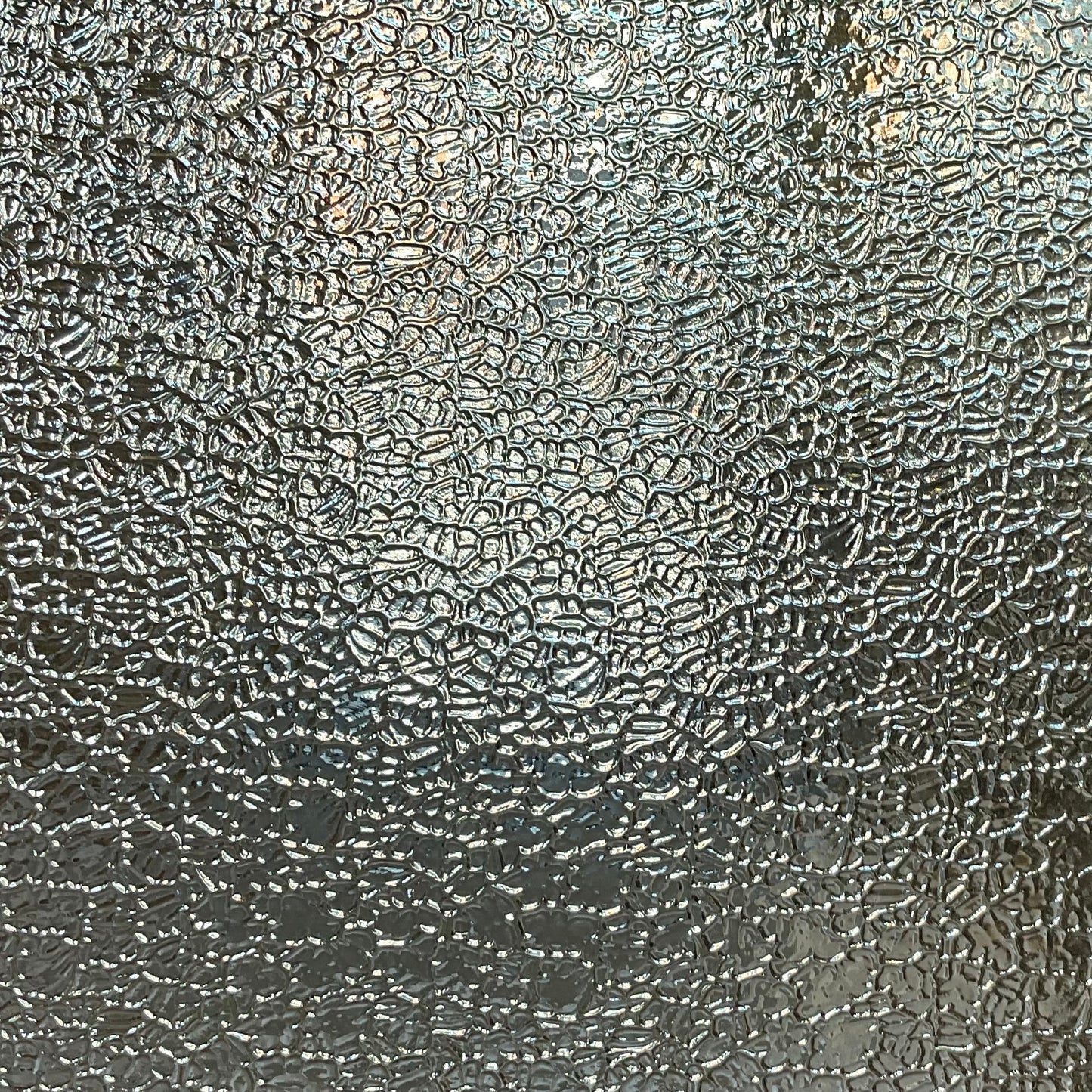 PW 01FIG-C Clear Fig-C Texture