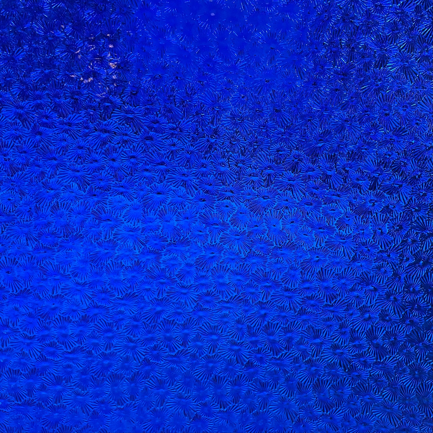 PW 1118FLOR Cobalt Blue Cathedral Florentine