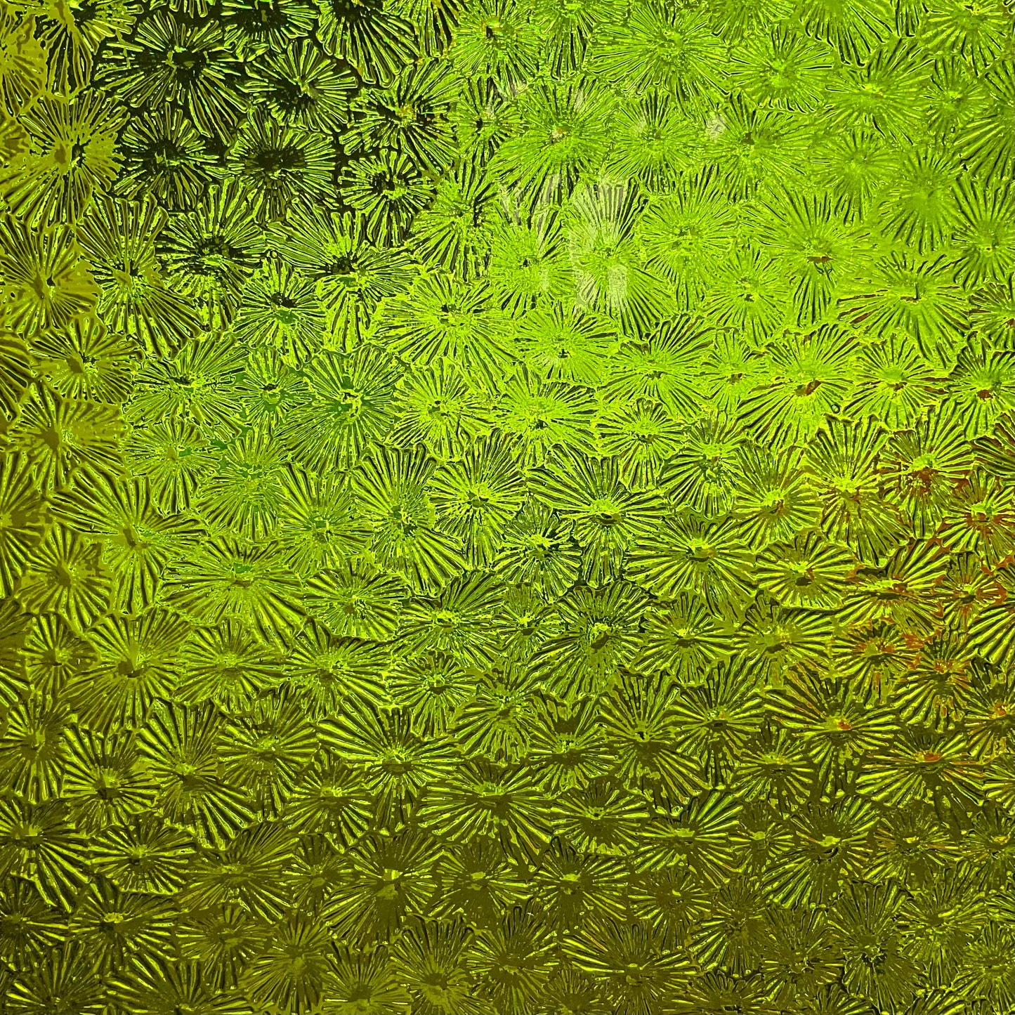Bulk Wissmach: Blue & Green
