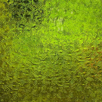 Bulk Wissmach: Blue & Green